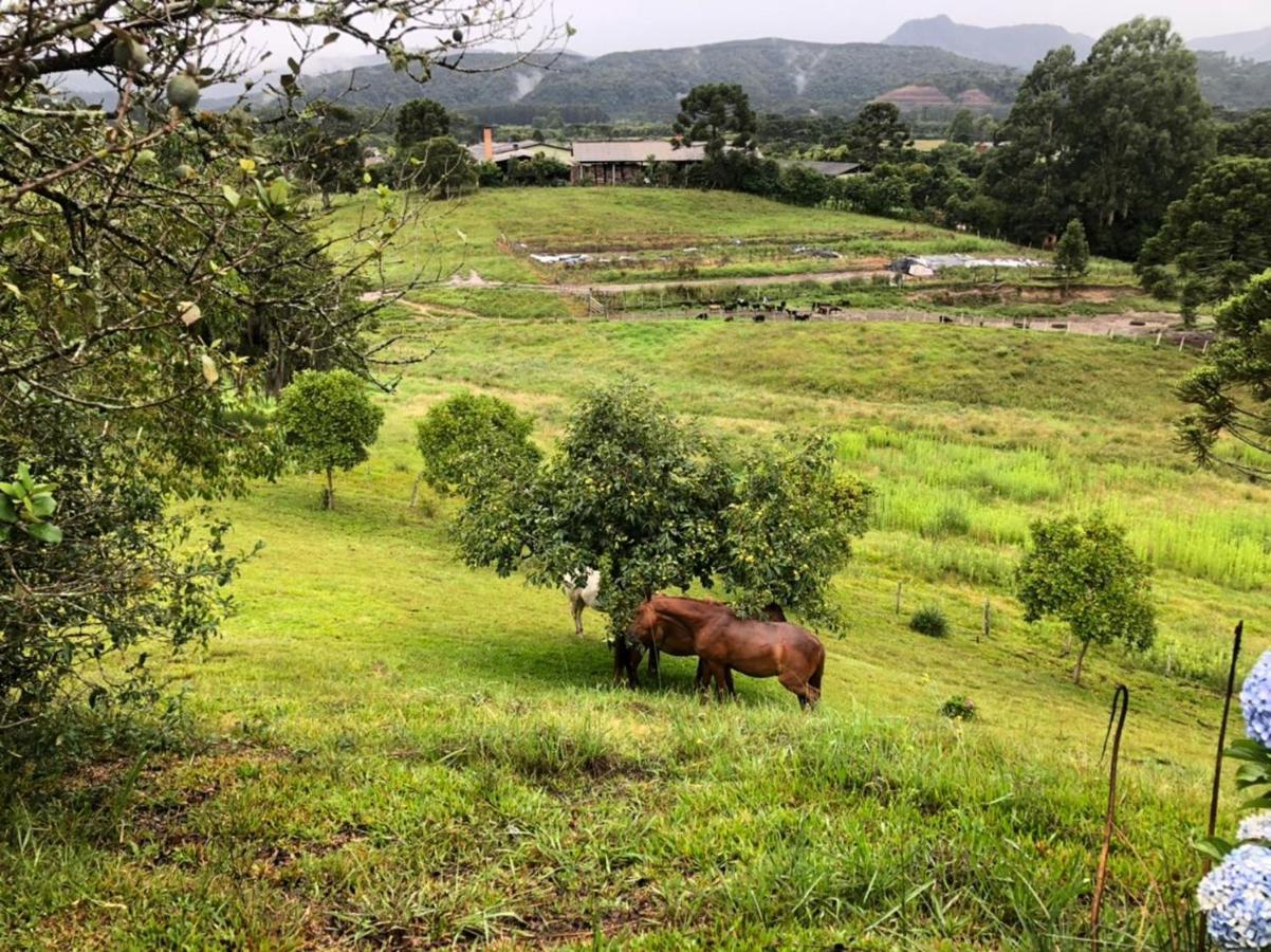 Pousada Fazenda Da Invernada อูรูบิซิ ภายนอก รูปภาพ