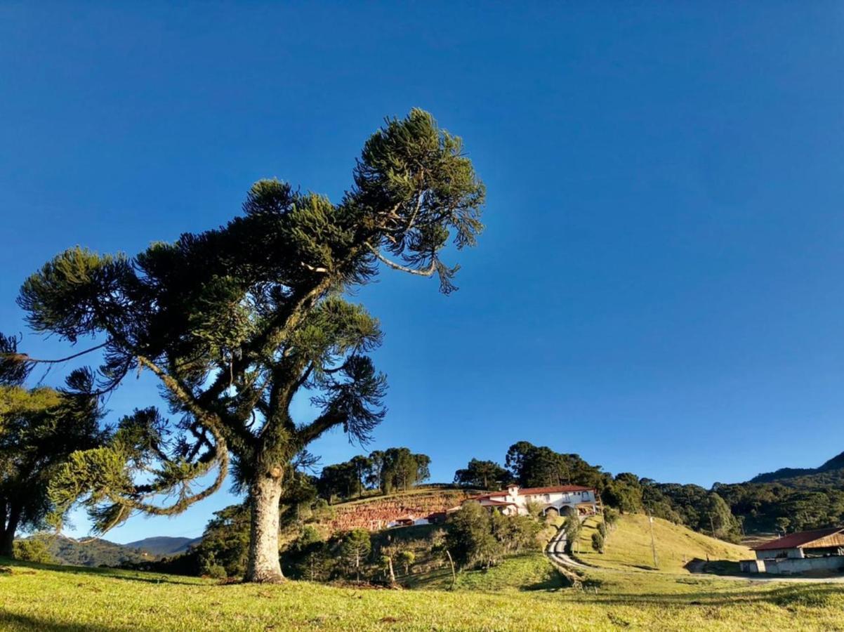 Pousada Fazenda Da Invernada อูรูบิซิ ภายนอก รูปภาพ